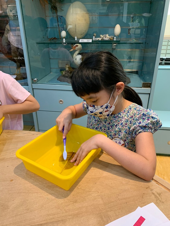幼兒園：綠葉仙蹤(7/14-15)-圖片41