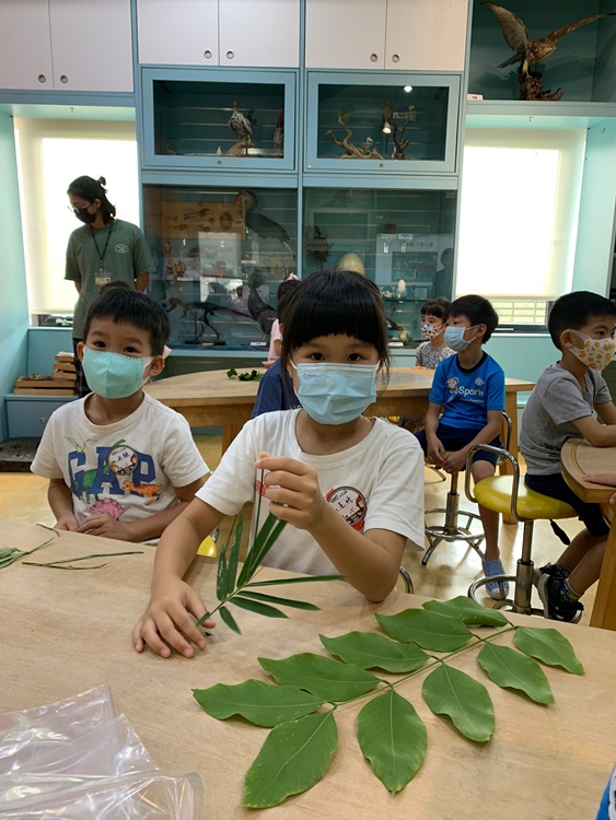 幼兒園：綠葉仙蹤(7/14-15)-圖片46