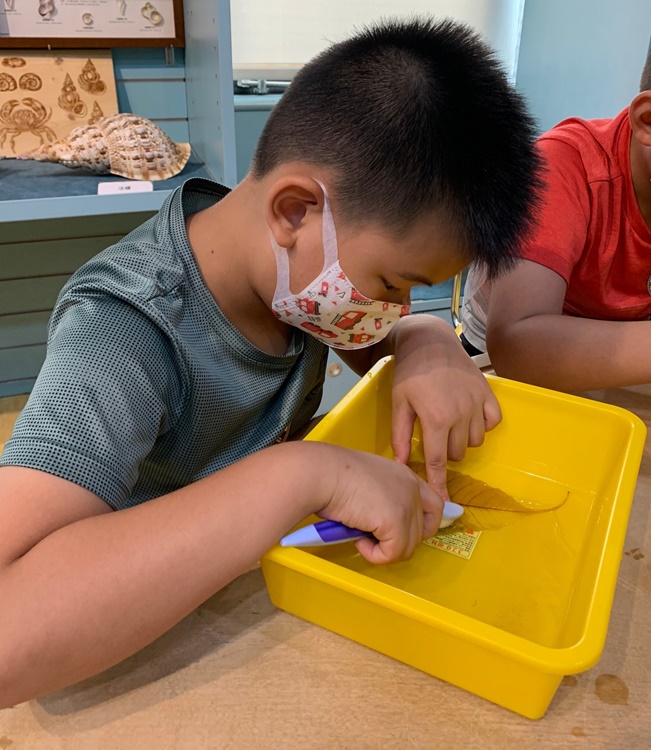 幼兒園：綠葉仙蹤(7/14-15)-圖片47