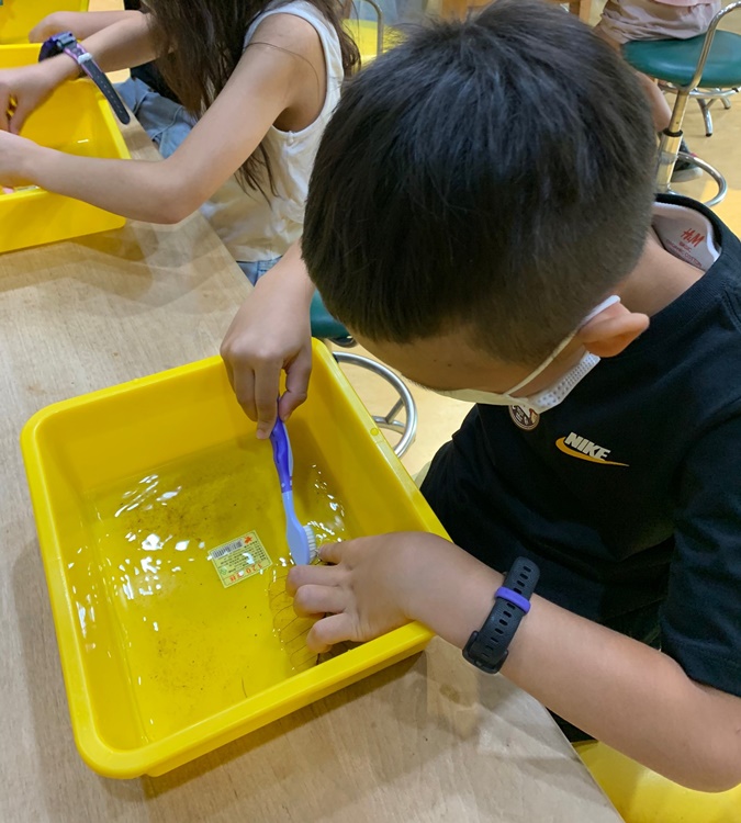 幼兒園：綠葉仙蹤(7/14-15)-圖片51