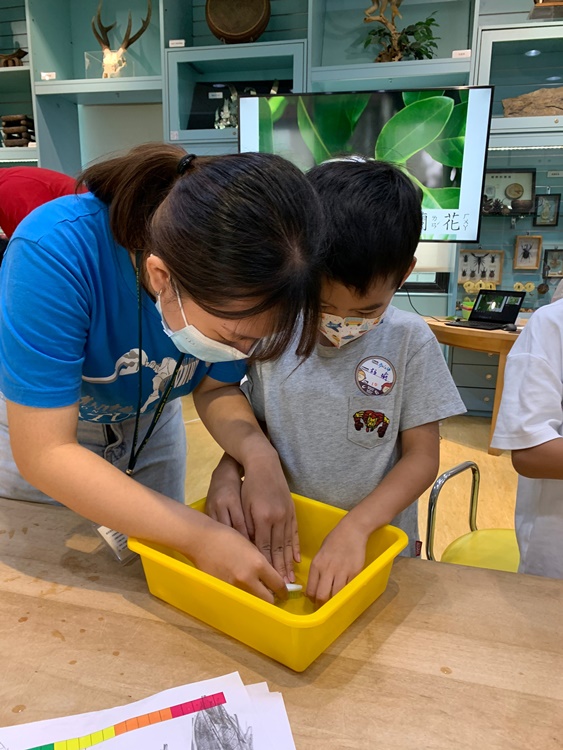 幼兒園：綠葉仙蹤(7/14-15)-圖片56