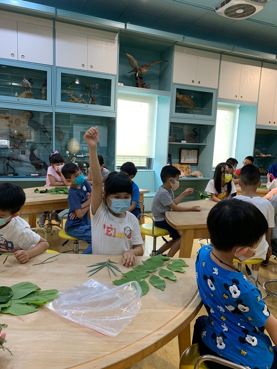 幼兒園：綠葉仙蹤(7/14-15)-圖片57