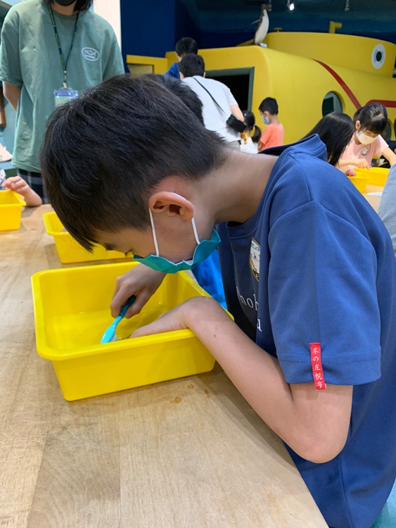 幼兒園：綠葉仙蹤(7/14-15)-圖片64