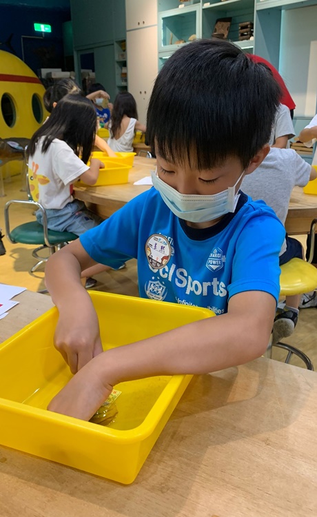 幼兒園：綠葉仙蹤(7/14-15)-圖片66