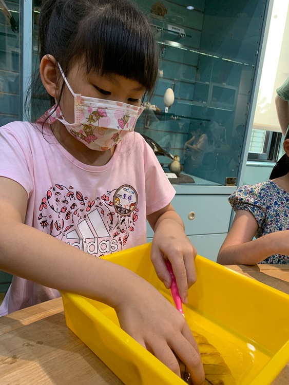 幼兒園：綠葉仙蹤(7/14-15)-圖片67