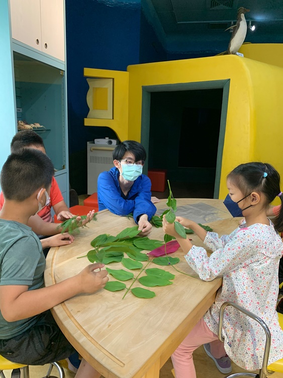 幼兒園：綠葉仙蹤(7/14-15)-圖片68