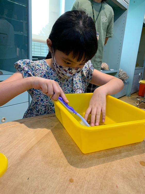 幼兒園：綠葉仙蹤(7/14-15)-圖片69