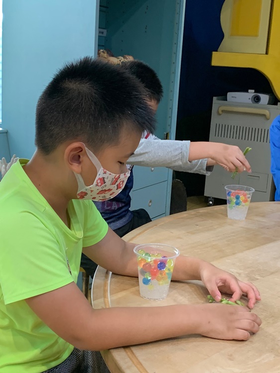 幼兒園：綠葉仙蹤(7/14-15)-圖片77
