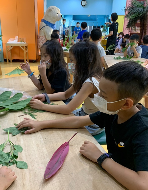 幼兒園：綠葉仙蹤(7/14-15)-圖片79