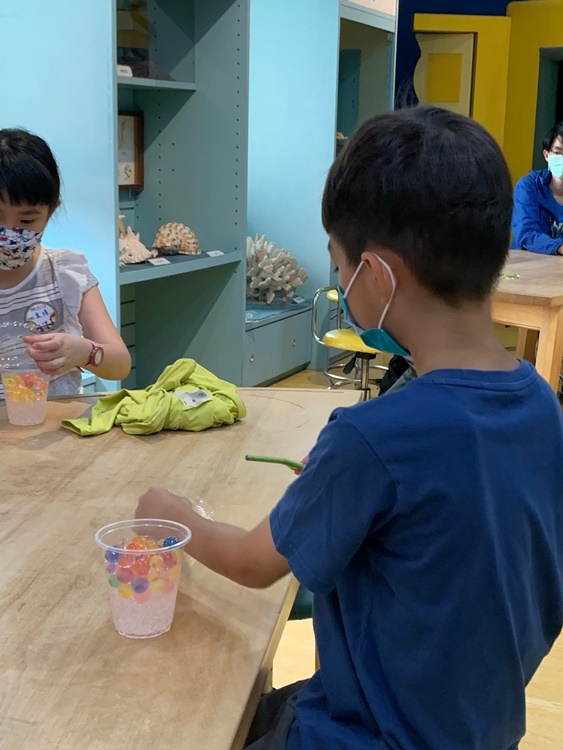 幼兒園：綠葉仙蹤(7/14-15)-圖片81