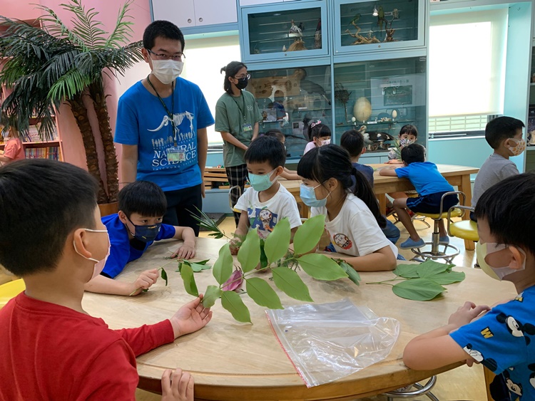 幼兒園：綠葉仙蹤(7/14-15)-圖片101