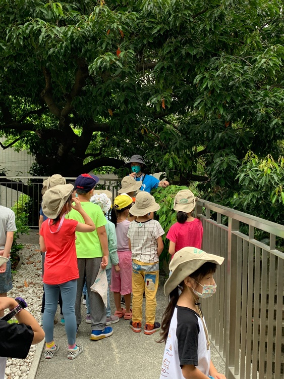 幼兒園：綠葉仙蹤(7/14-15)-圖片116