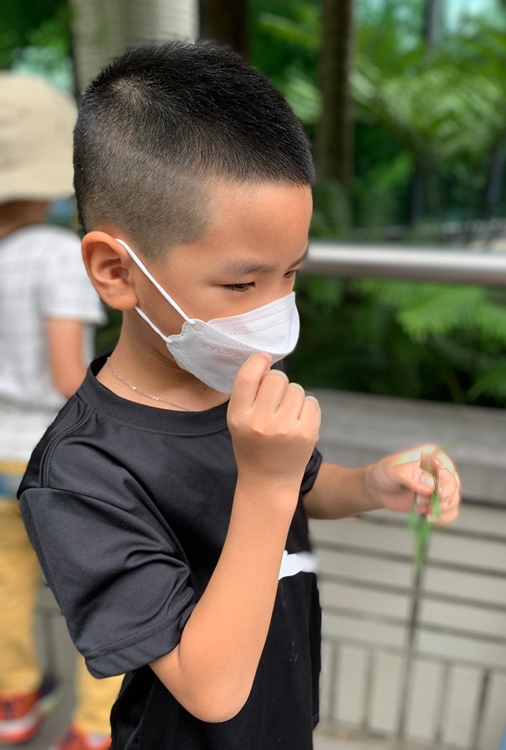幼兒園：綠葉仙蹤(7/14-15)-圖片126