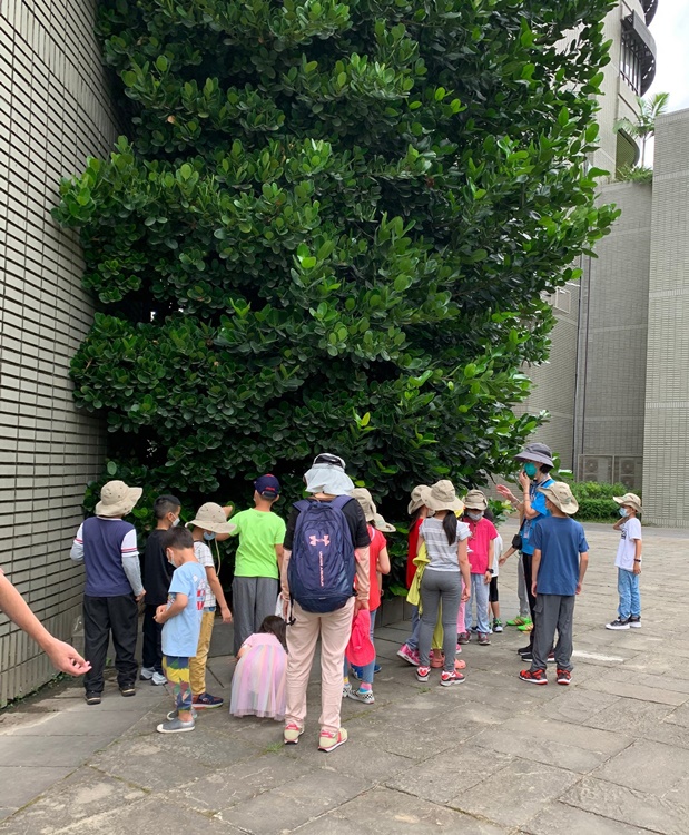 幼兒園：綠葉仙蹤(7/14-15)-圖片132