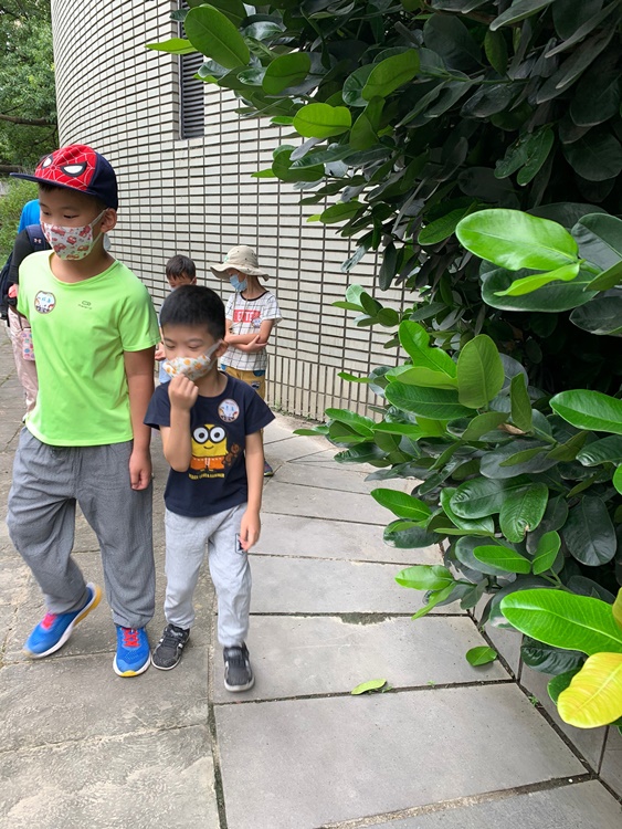 幼兒園：綠葉仙蹤(7/14-15)-圖片133