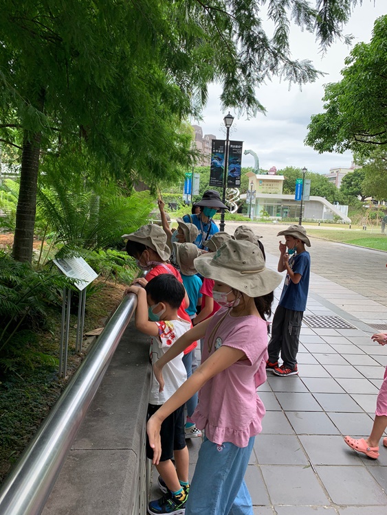 幼兒園：綠葉仙蹤(7/14-15)-圖片134