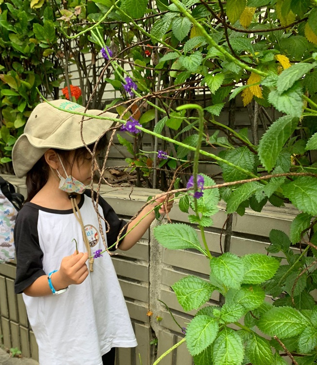 幼兒園：綠葉仙蹤(7/14-15)-圖片138