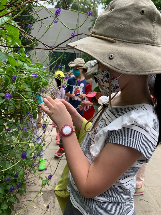 幼兒園：綠葉仙蹤(7/14-15)-圖片139