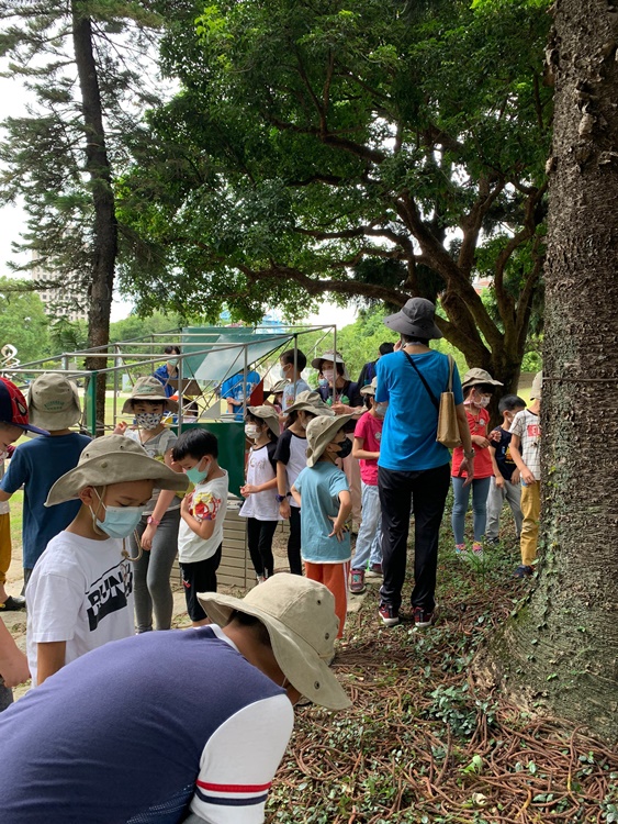 幼兒園：綠葉仙蹤(7/14-15)-圖片142