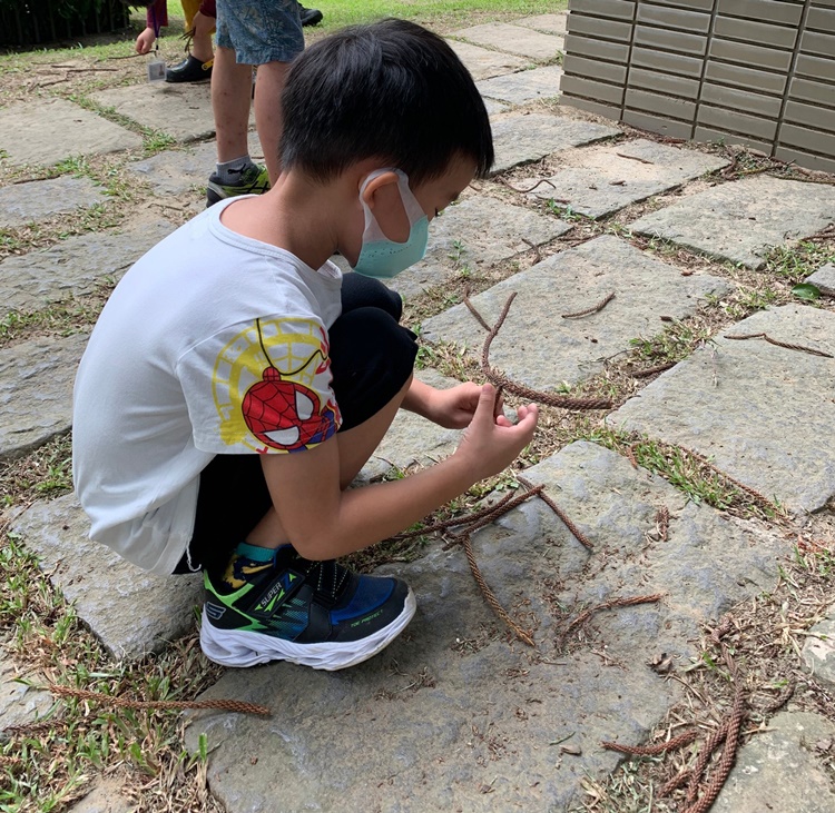 幼兒園：綠葉仙蹤(7/14-15)-圖片144