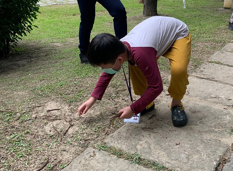 幼兒園：綠葉仙蹤(7/14-15)-圖片145