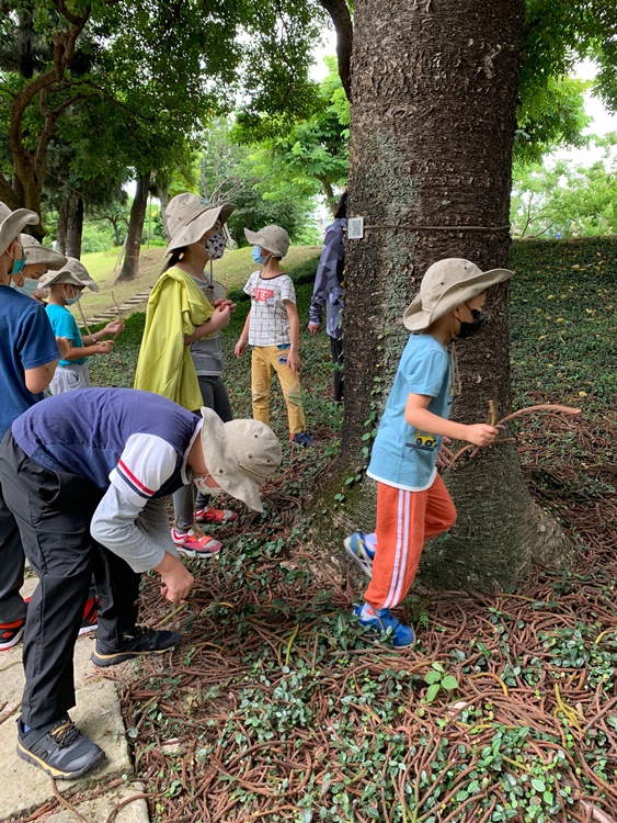 幼兒園：綠葉仙蹤(7/14-15)-圖片147
