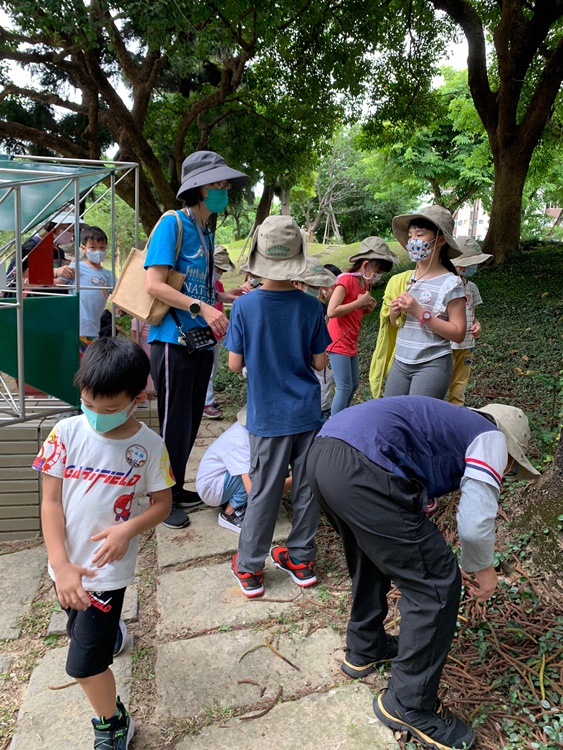 幼兒園：綠葉仙蹤(7/14-15)-圖片148