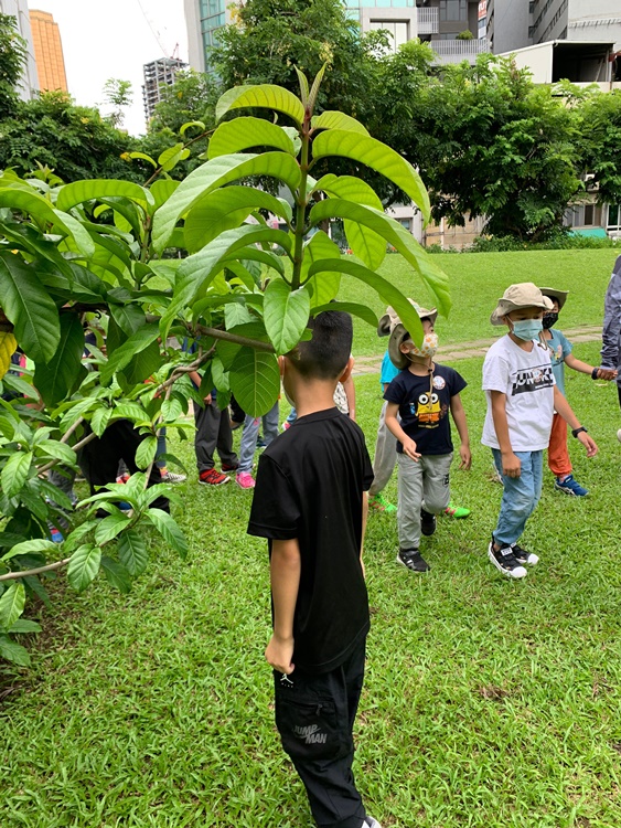 幼兒園：綠葉仙蹤(7/14-15)-圖片152