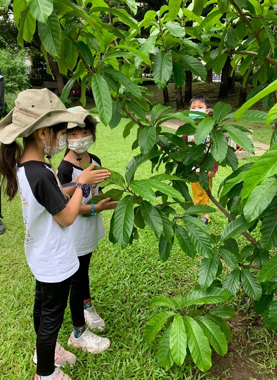 幼兒園：綠葉仙蹤(7/14-15)-圖片153