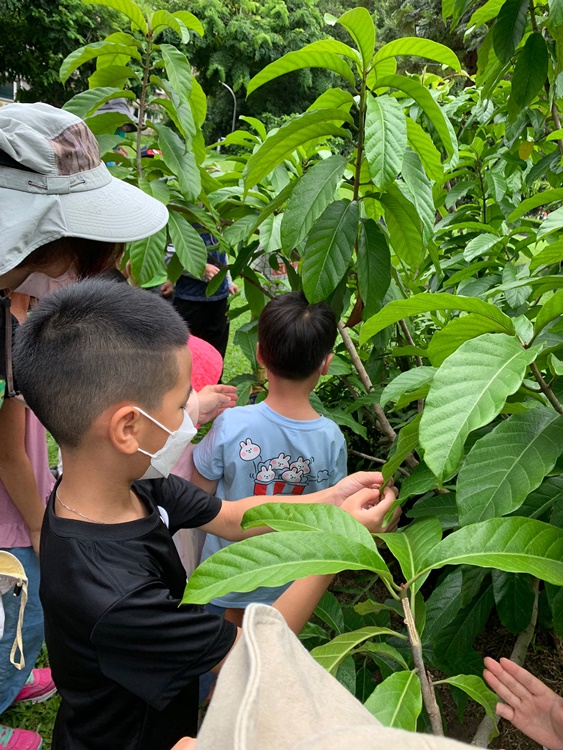 幼兒園：綠葉仙蹤(7/14-15)-圖片154