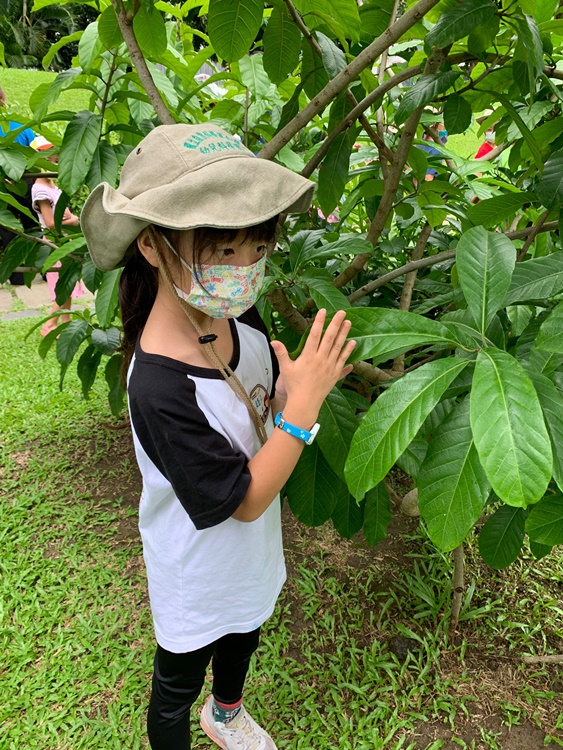 幼兒園：綠葉仙蹤(7/14-15)-圖片156