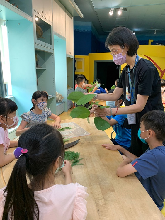 幼兒園：綠葉仙蹤(7/14-15)-圖片157