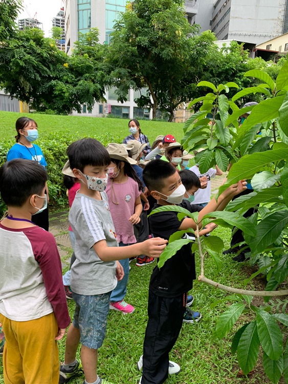 幼兒園：綠葉仙蹤(7/14-15)-圖片158
