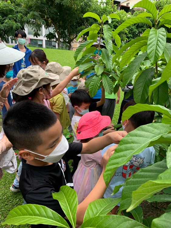 幼兒園：綠葉仙蹤(7/14-15)-圖片159