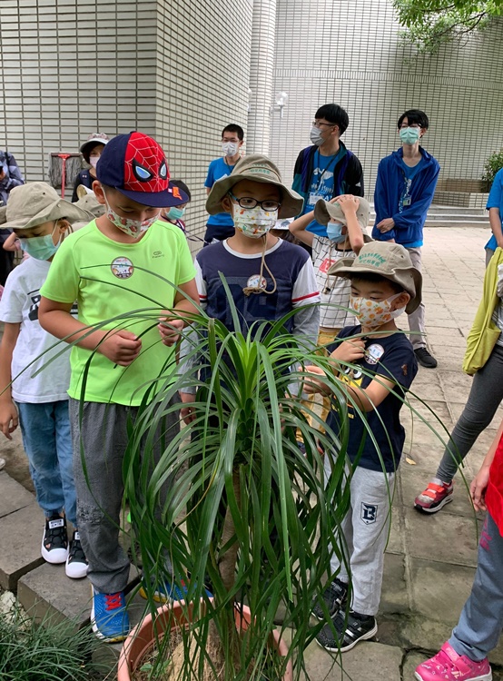 幼兒園：綠葉仙蹤(7/14-15)-圖片160