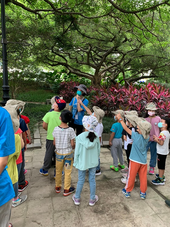 幼兒園：綠葉仙蹤(7/14-15)-圖片163