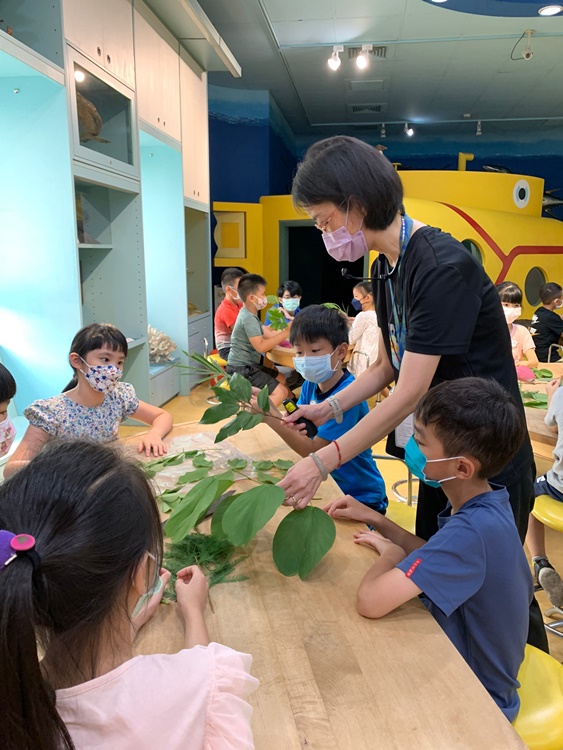 幼兒園：綠葉仙蹤(7/14-15)-圖片164