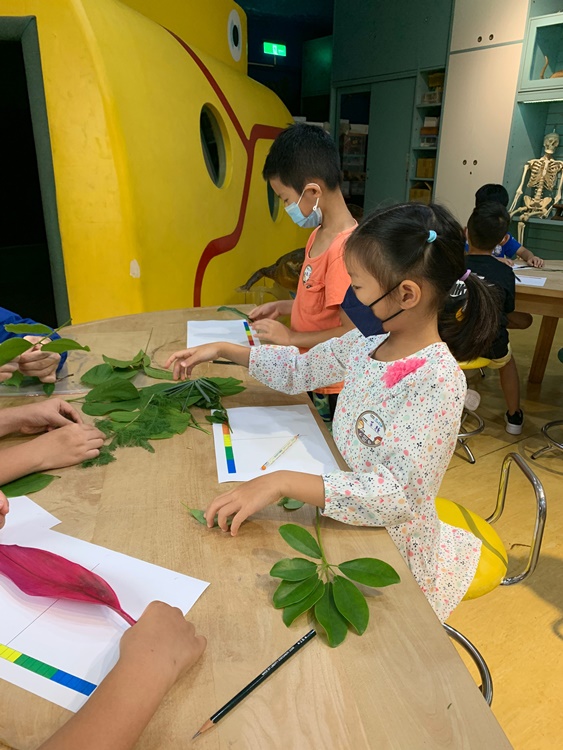 幼兒園：綠葉仙蹤(7/14-15)-圖片166