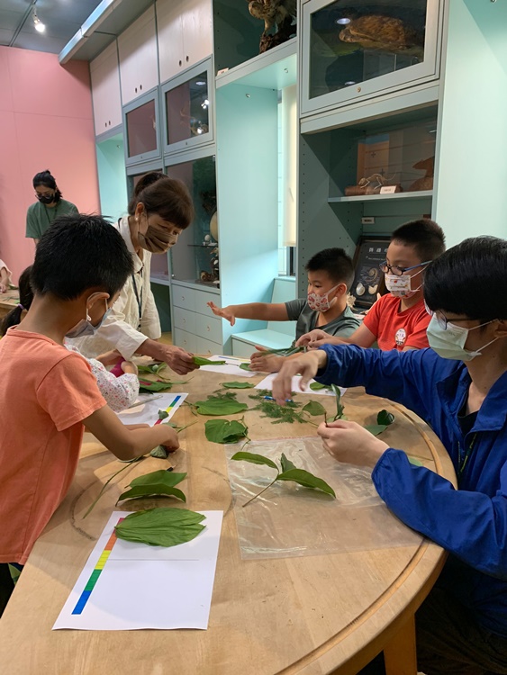 幼兒園：綠葉仙蹤(7/14-15)-圖片168