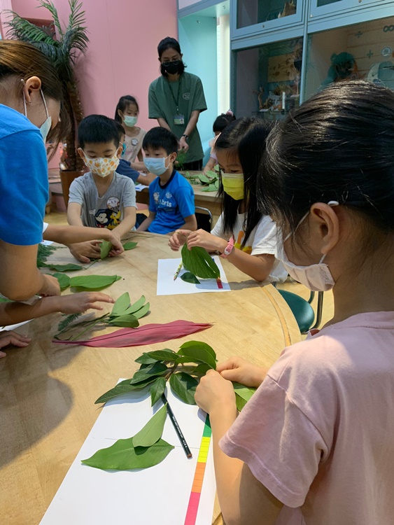 幼兒園：綠葉仙蹤(7/14-15)-圖片170