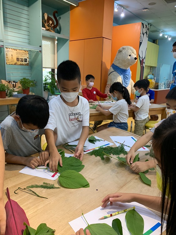 幼兒園：綠葉仙蹤(7/14-15)-圖片171