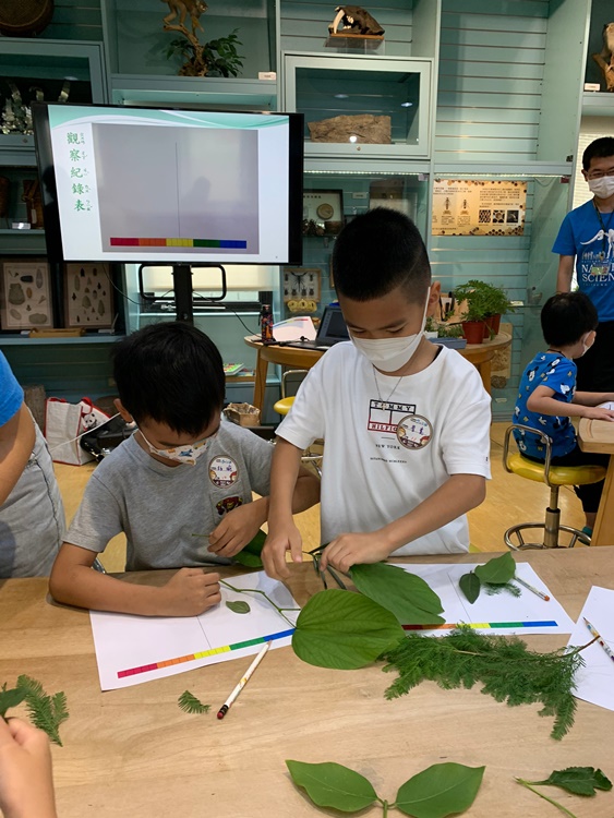幼兒園：綠葉仙蹤(7/14-15)-圖片173