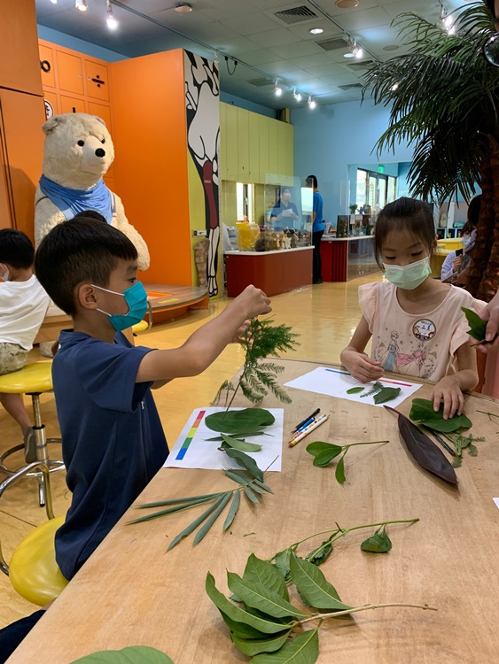 幼兒園：綠葉仙蹤(7/14-15)-圖片175