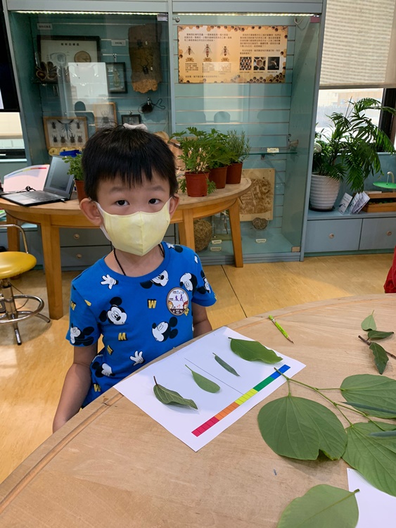幼兒園：綠葉仙蹤(7/14-15)-圖片176