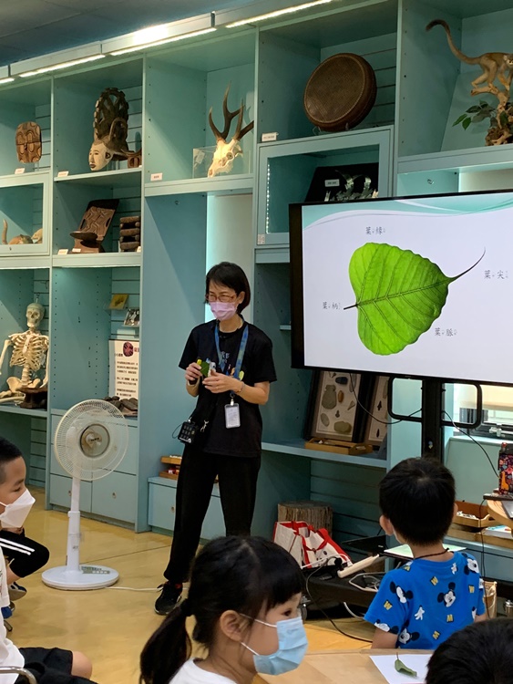 幼兒園：綠葉仙蹤(7/14-15)-圖片179