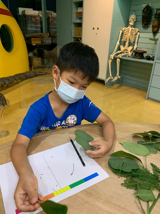 幼兒園：綠葉仙蹤(7/14-15)-圖片187
