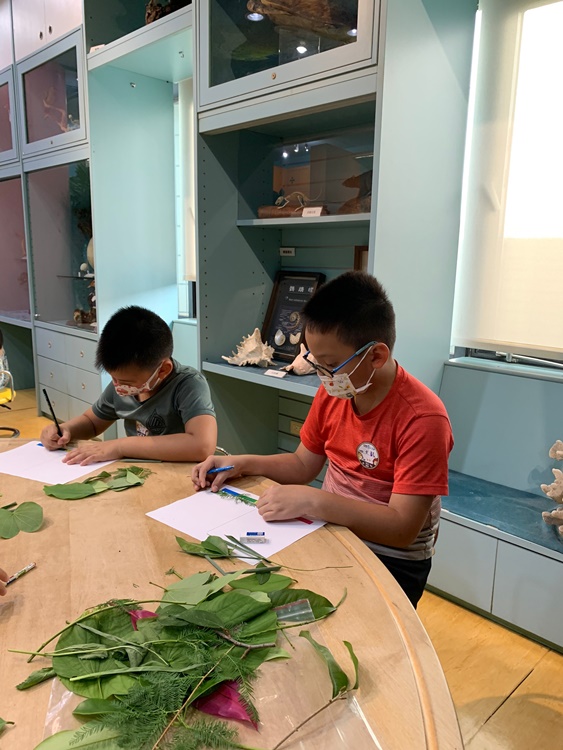 幼兒園：綠葉仙蹤(7/14-15)-圖片189