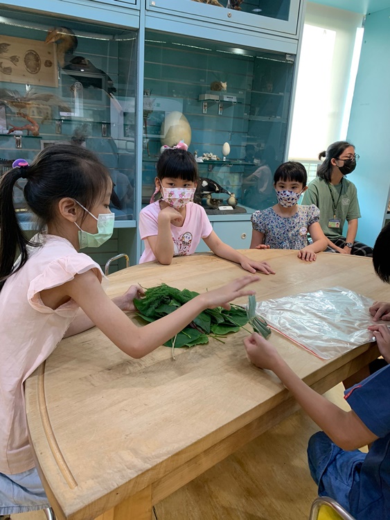 幼兒園：綠葉仙蹤(7/14-15)-圖片191