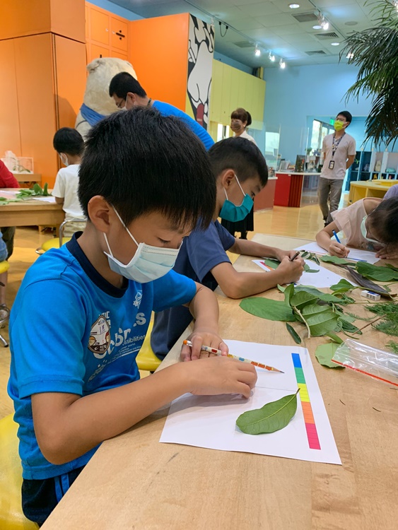 幼兒園：綠葉仙蹤(7/14-15)-圖片196