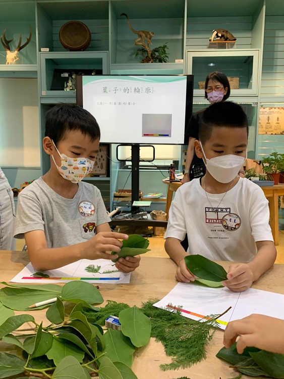幼兒園：綠葉仙蹤(7/14-15)-圖片197